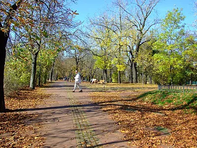 Letenské sady