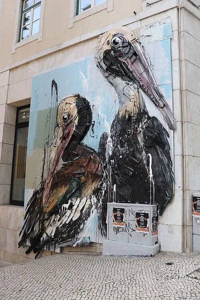Pelicans