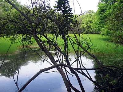 Riserva Naturale di Decima Malafede