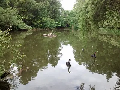 Großer Weiher