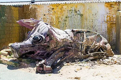 The Pig