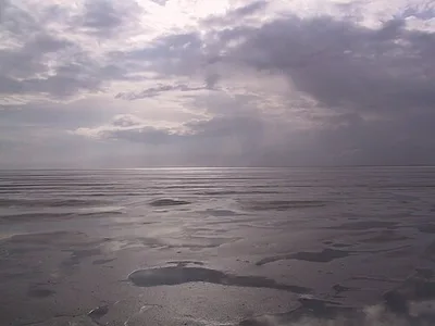 Wattenmeer