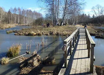 Rågsveds naturreservat