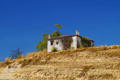 Quinta das Ameias