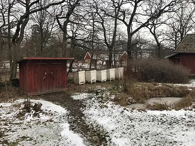 Väla skola trädgårdsland