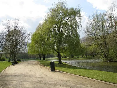Parc des Étangs - Vijverspark