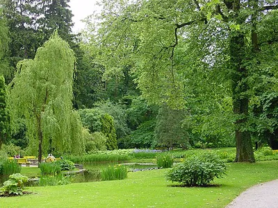 Hofgarten
