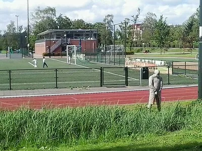 De Wildplasser