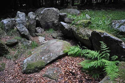Megalithanlagen von Kilmashogue