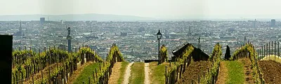 Nußberg