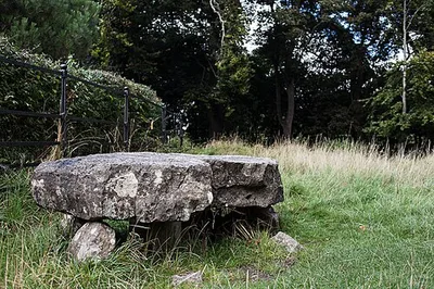 Knockmaree Dolmen