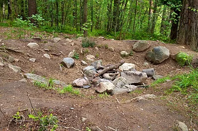 Tallberget