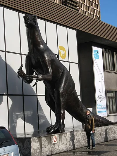 Muséum des sciences naturelles de Belgique - Museum voor Natuurwetenschappen van België