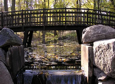 Årstaskogen - Årsta holmar naturreservat