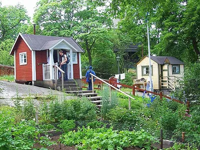 Koloniträdgård