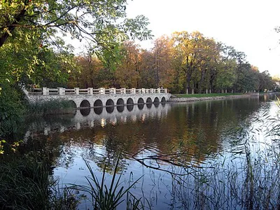 přírodní památka Počernický rybník