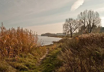 Rheinaue Worringen-Langel