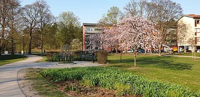 Årstafruns park
