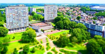 Jardin de l'Arbre Ballon - Dikke Beuktuin