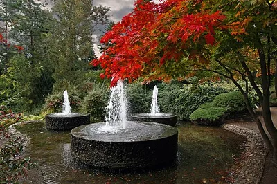 Forstbotanischer Garten