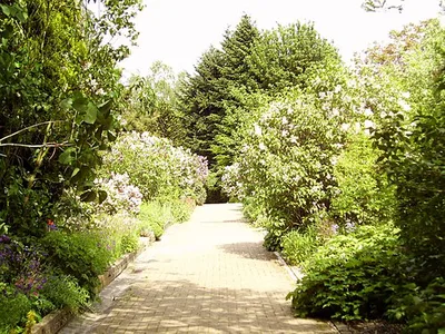 Jardin botanique Jean Massart - Botanische tuin Jean Massart