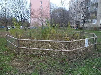 Miyawaki minierdő