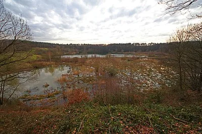 Am Hornpottweg