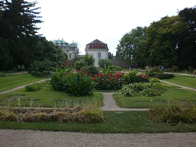 Botanischer Garten der Universität Wien
