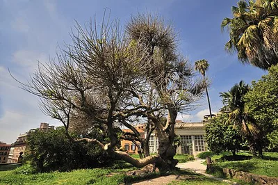 Villa Aldobrandini