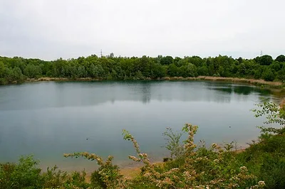 Dellbrücker Heide