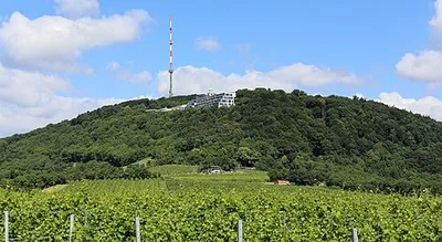 Kahlenberg