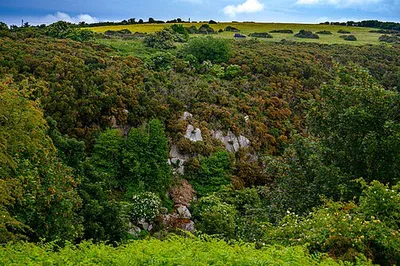 Dingle Glen