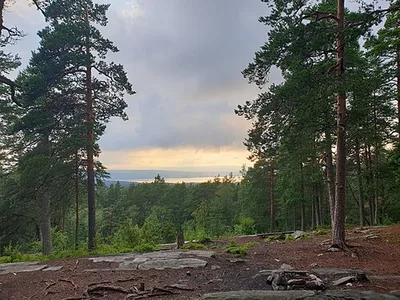 Grønliåsen