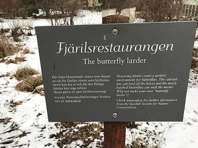 Fjärilsträdgården