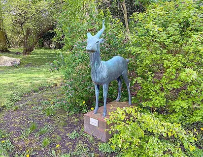 Antilope