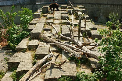 Bärengraben