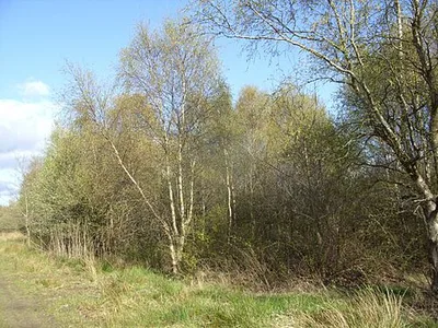 Herrschaftliches Moor