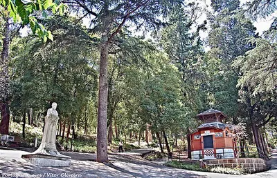 Parque Silva Porto