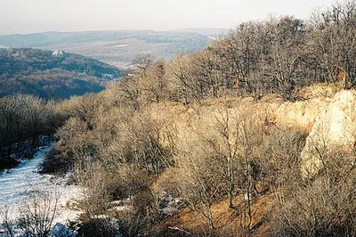 Pozsonyi-hegy