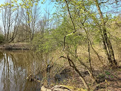 Heemtuin Sloterpark