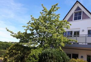 Wellenberg