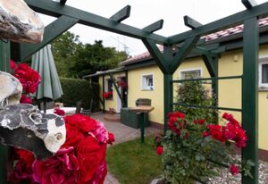 Ferienbungalow Thesenvitz