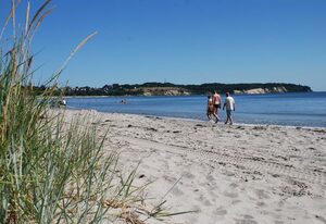 Strandhaus Lobbe - Fewo 45499 – Fewo 7