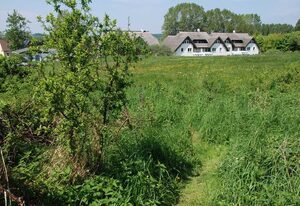 Strandhaus Lobbe - Fewo 45499 – Fewo 7
