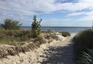 Am Strand
