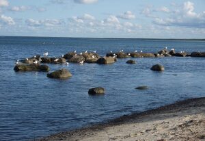 Am Strand