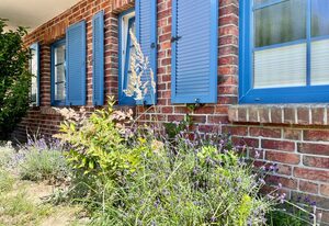 A: Ferienwohnung 12 Am Selliner See – Haus 2 Fewo 12 Am Selliner See mit Balkon