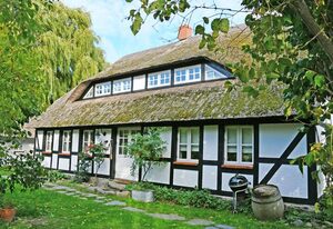 Mönchguter Ferienhaus unterm Reetdach mit Kamin und Sauna