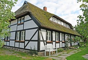 Mönchguter Ferienhaus unterm Reetdach mit Kamin und Sauna