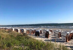 Strandvilla Helene mit Meerblick in Top Lage – Seemöwe